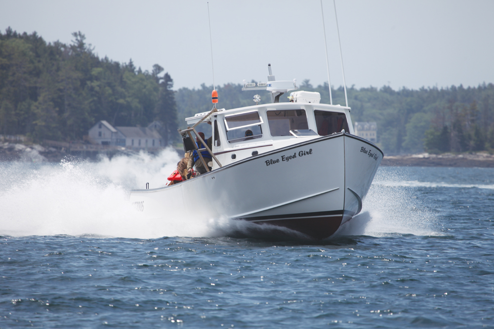 BLUE EYED GIRL Dominates Boothbay & Rockland