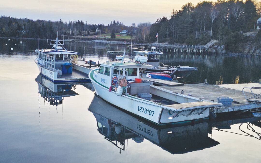 Boat and Ship Yard News