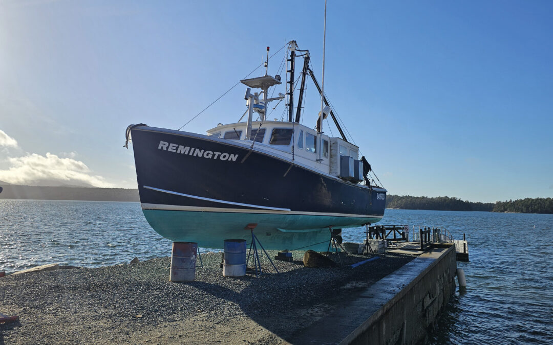 Boat Yard News